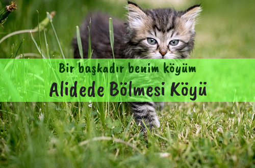 Alidede Bölmesi Köyü